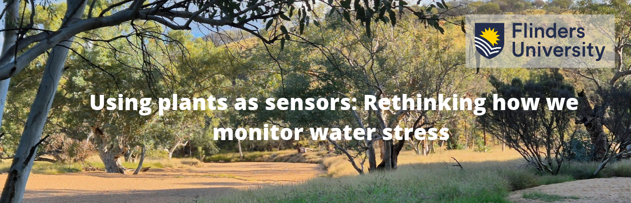 EDM Ad - Huade Guan