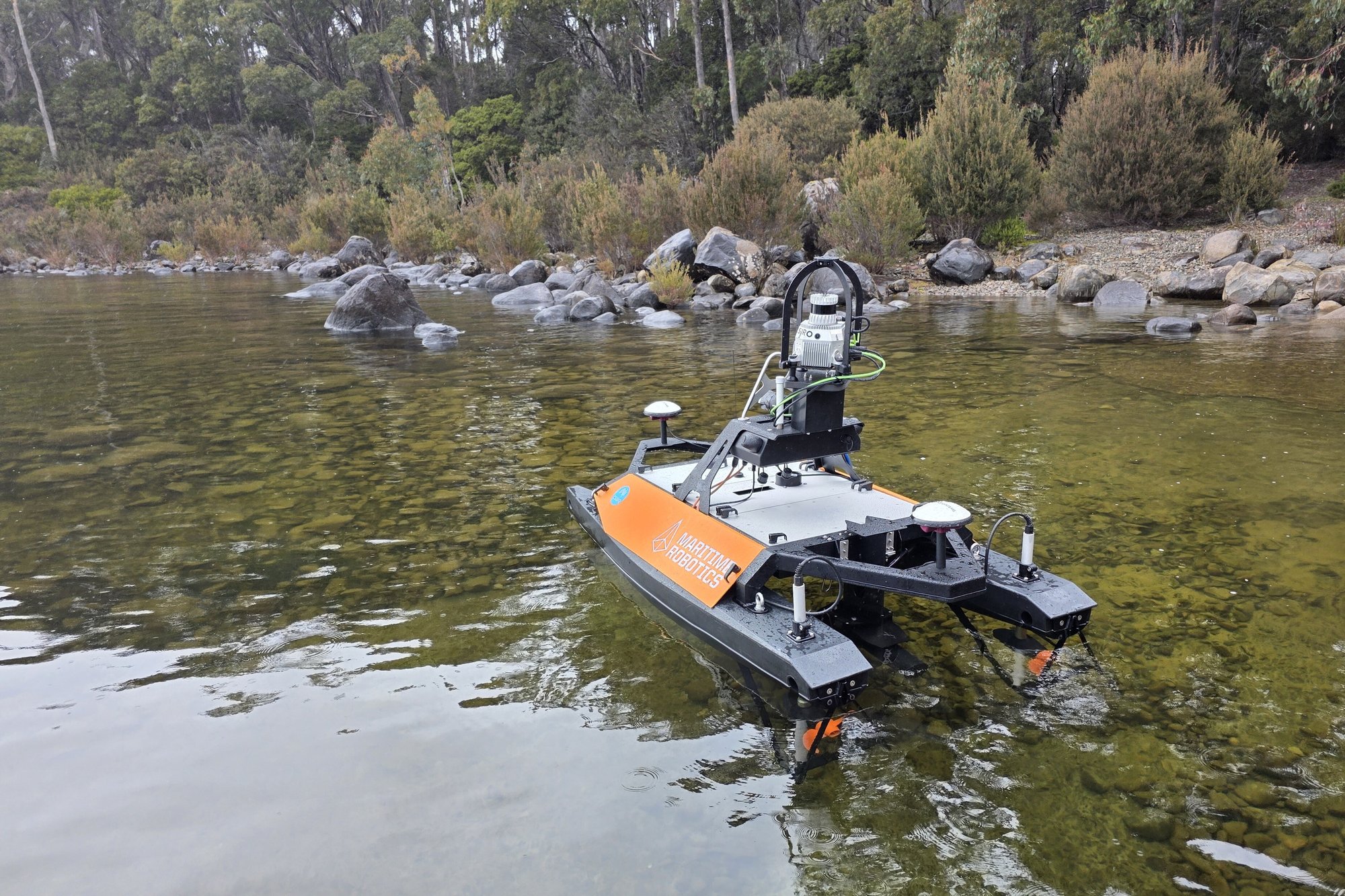 Otter