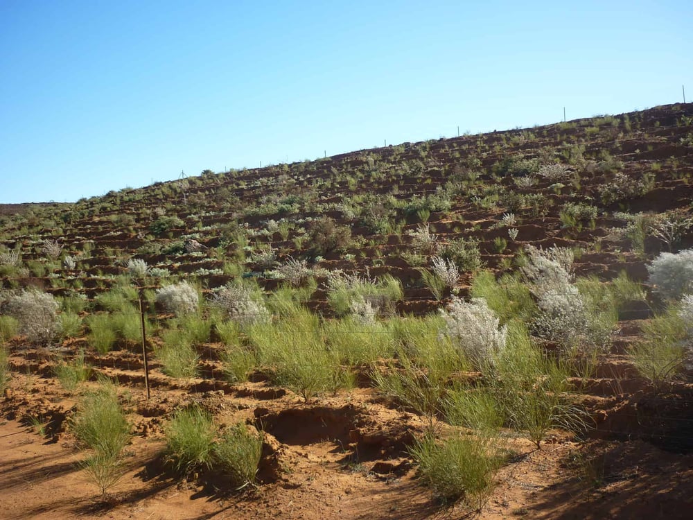 OurWork_Programs_MineRehab_Koolanooka-Iron-Ore-Mine-Landscape-Rehabilitation_Credit-EPA