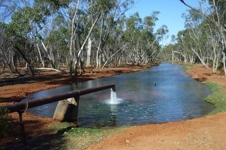 Screenshot_13-2-2026_15224_www.abc.net.au Screenshot_13-2-2026_15224_www.abc.net.au