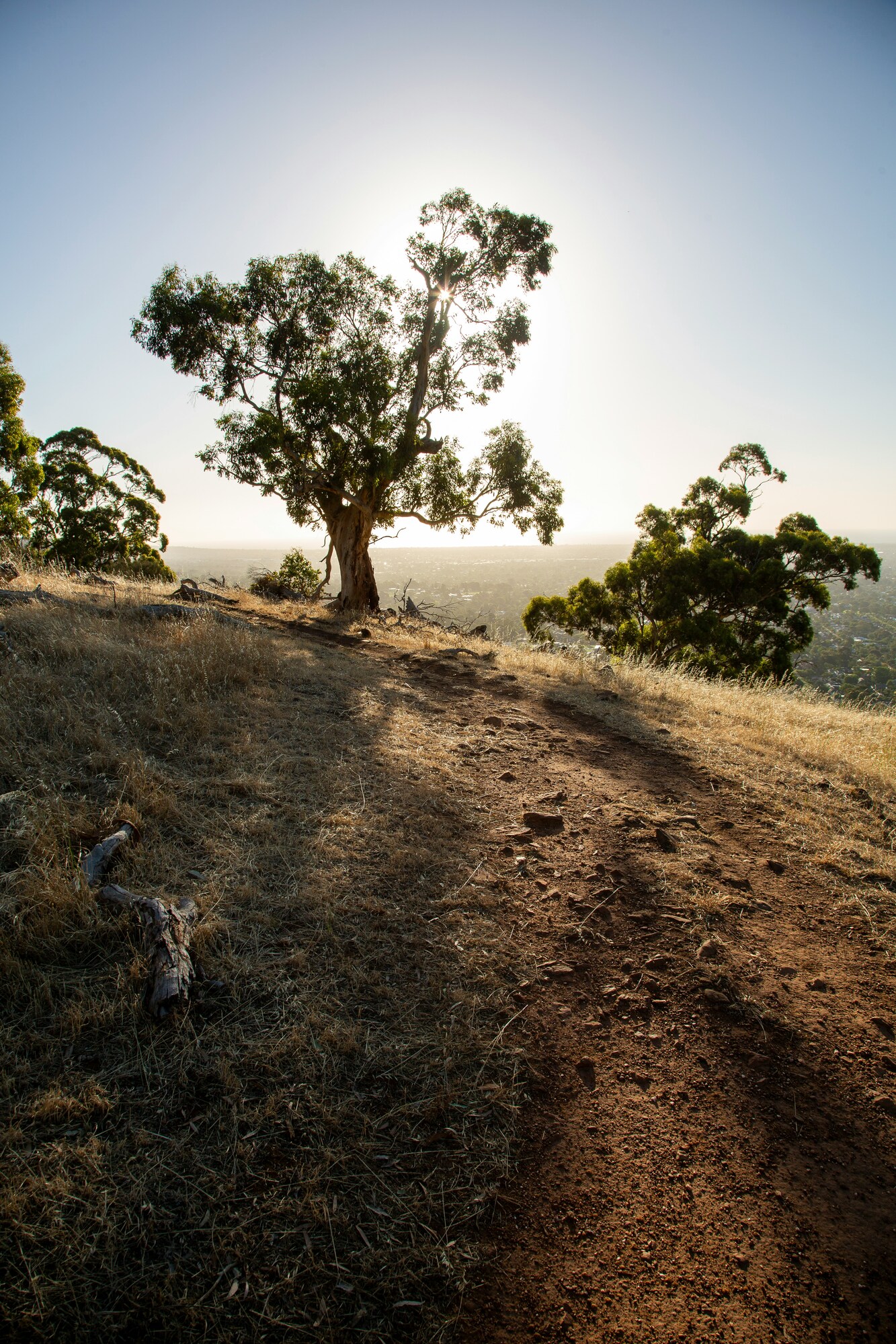 stephen-mabbs-_glFsEN0vog-unsplash
