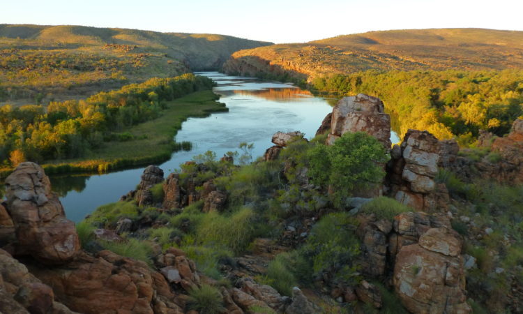 Landscape Health image